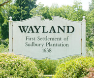 replace water softener Wayland, MA