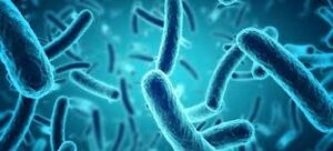 Bacteria in water